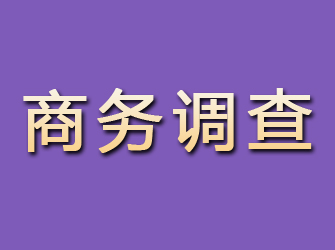 休宁商务调查